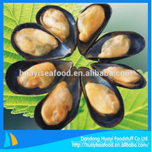 delicious frozen excellent half shell mussel good provider